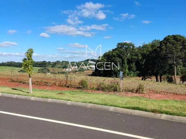 Terreno / Lote para Venda em Pato Branco/PR Cadorin