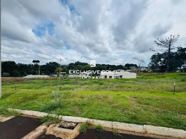 Terreno / Lote para Venda em Pato Branco/PR Cadorin
