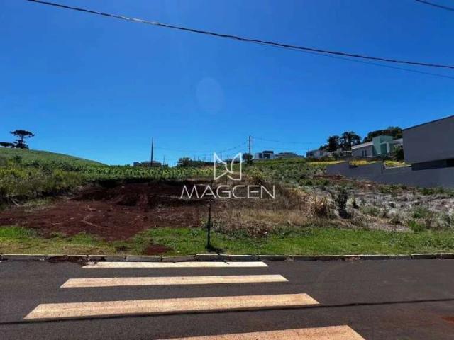 Terreno / Lote para Venda em Pato Branco/PR Cadorin