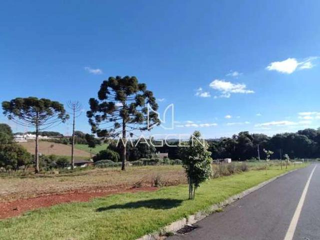 Terreno / Lote para Venda em Pato Branco/PR Cadorin