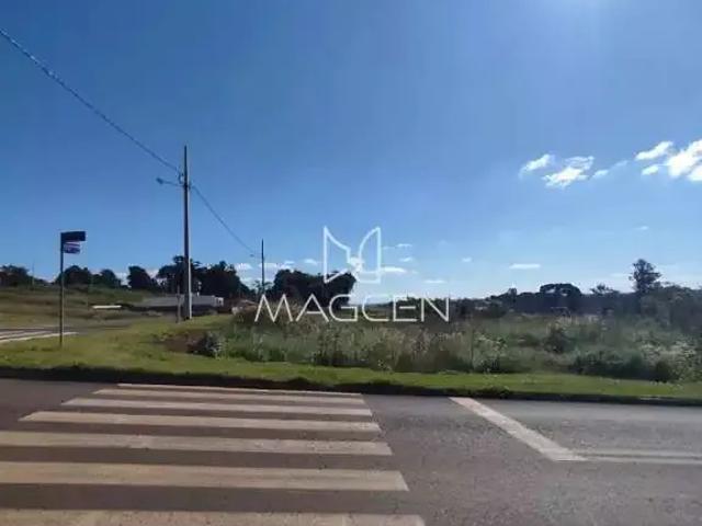 Terreno / Lote para Venda em Pato Branco/PR Cadorin