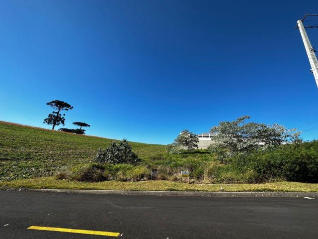 Terreno / Lote para Venda em Pato Branco/PR Cadorin