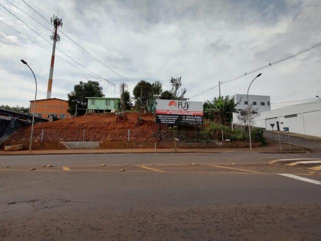 Terreno / Lote para Venda em Pato Branco/PR Cristo Rei
