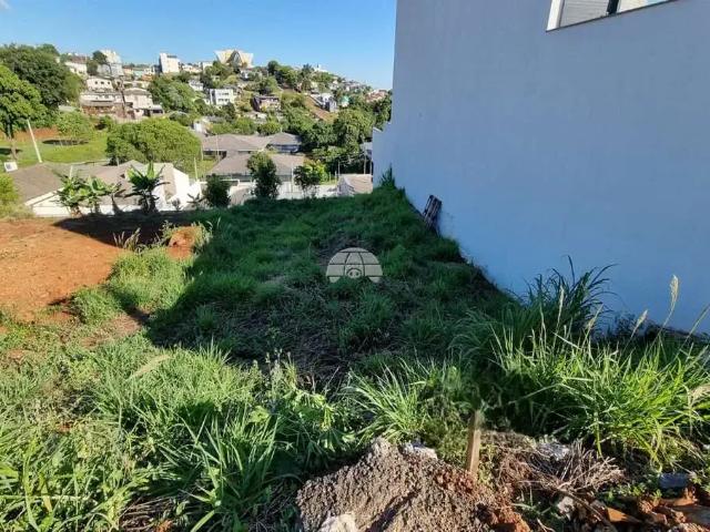 Terreno / Lote para Venda em Pato Branco/PR Cristo Rei
