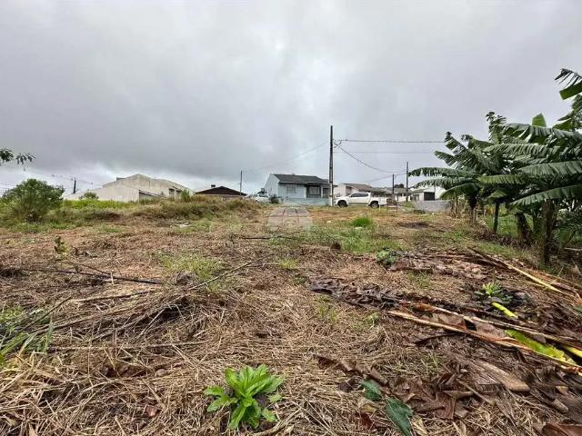 Terreno / Lote para Venda em Pato Branco/PR Cristo Rei