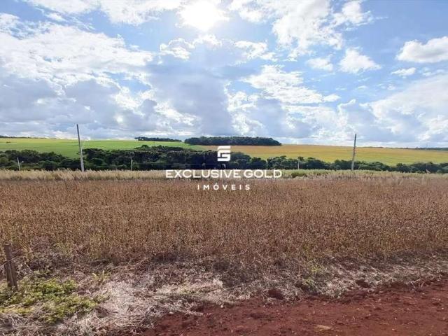 Terreno / Lote para Venda em Pato Branco/PR Fraron