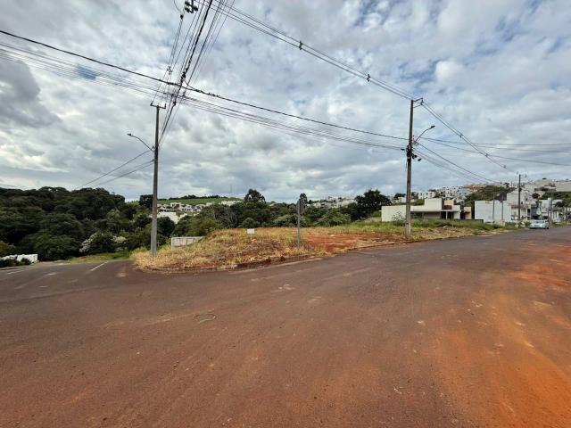 Terreno / Lote para Venda em Pato Branco/PR Fraron