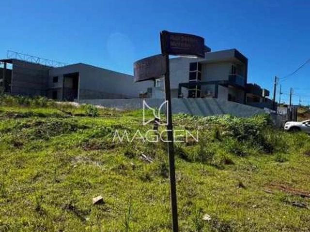Terreno / Lote para Venda em Pato Branco/PR Fraron
