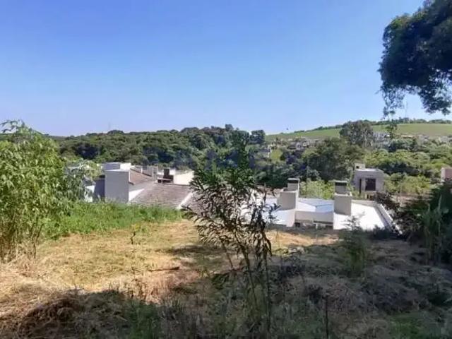 Terreno / Lote para Venda em Pato Branco/PR Fraron