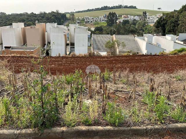 Terreno / Lote para Venda em Pato Branco/PR Fraron
