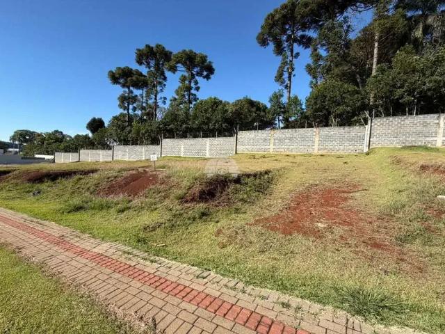 Terreno / Lote para Venda em Pato Branco/PR Fraron