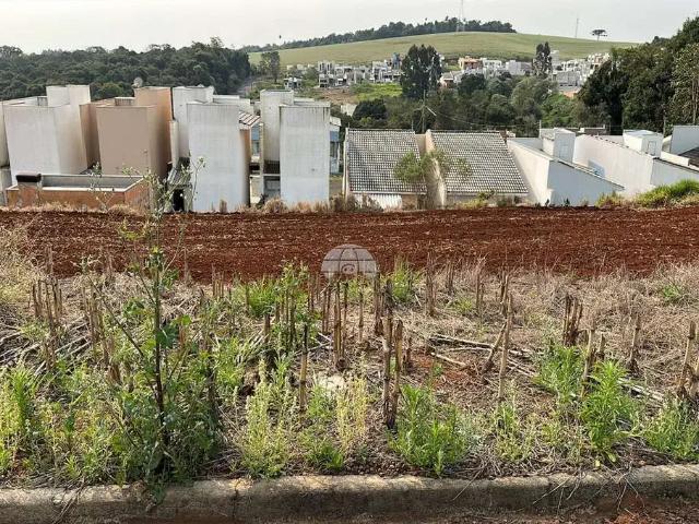 Terreno / Lote para Venda em Pato Branco/PR Fraron