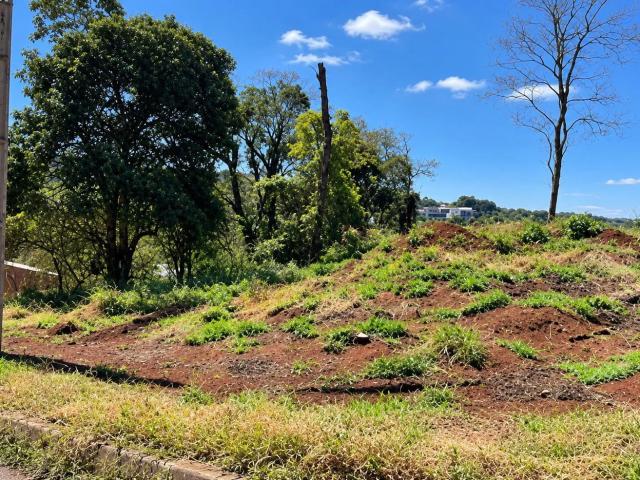 Terreno / Lote para Venda em Pato Branco/PR Fraron