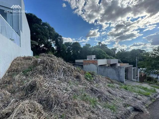 Terreno / Lote para Venda em Pato Branco/PR Fraron