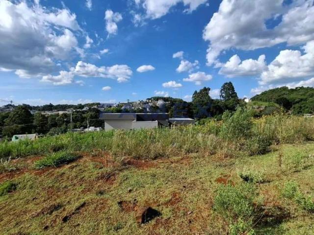 Terreno / Lote para Venda em Pato Branco/PR Industrial