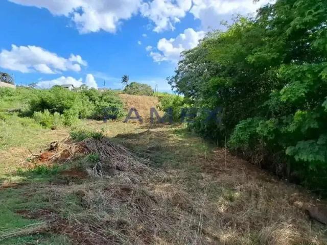 Terreno / Lote para Venda em Pato Branco/PR Industrial