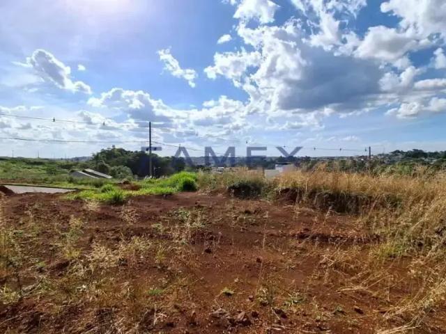 Terreno / Lote para Venda em Pato Branco/PR Industrial