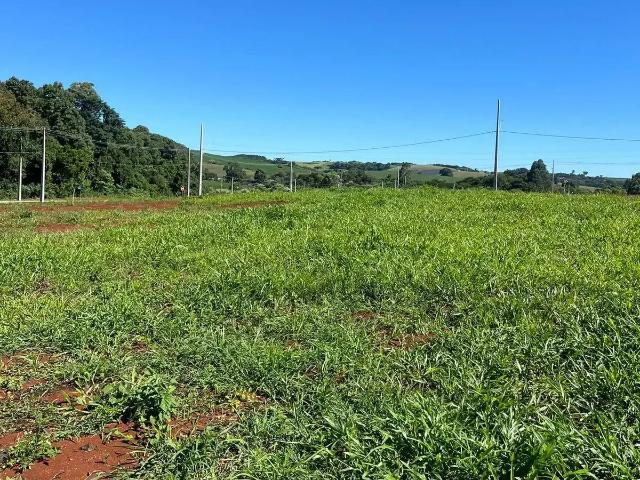 Terreno / Lote para Venda em Pato Branco/PR Industrial