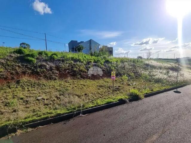 Terreno / Lote para Venda em Pato Branco/PR Industrial