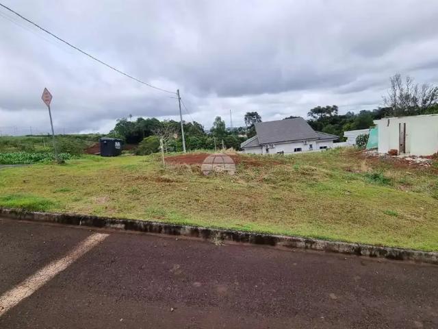 Terreno / Lote para Venda em Pato Branco/PR Industrial