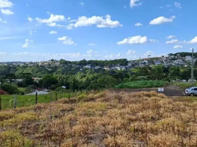 Terreno / Lote para Venda em Pato Branco/PR Industrial