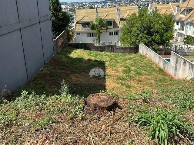 Terreno / Lote para Venda em Pato Branco/PR Jardim das Américas