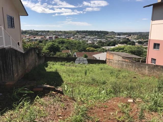 Terreno / Lote para Venda em Pato Branco/PR Jardim das Américas