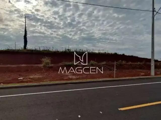 Terreno / Lote para Venda em Pato Branco/PR Jardim Floresta