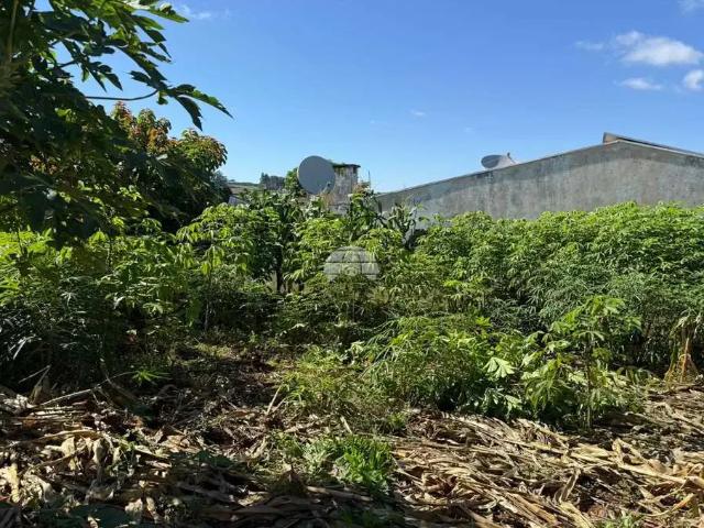 Terreno / Lote para Venda em Pato Branco/PR La Salle