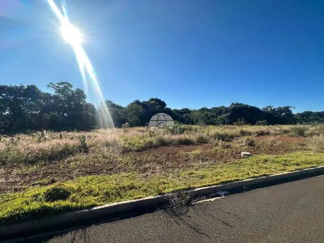 Terreno / Lote para Venda em Pato Branco/PR Pagnoncelli