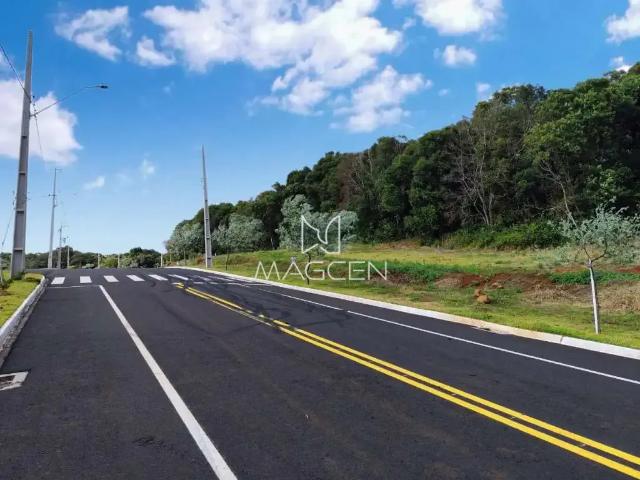 Terreno / Lote para Venda em Pato Branco/PR Parque do Som