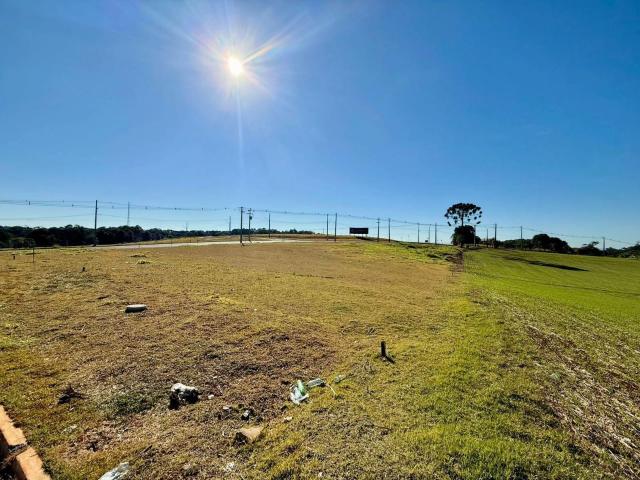 Terreno / Lote para Venda em Pato Branco/PR Parque do Som