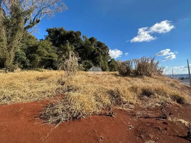 Terreno / Lote para Venda em Pato Branco/PR Parzianello