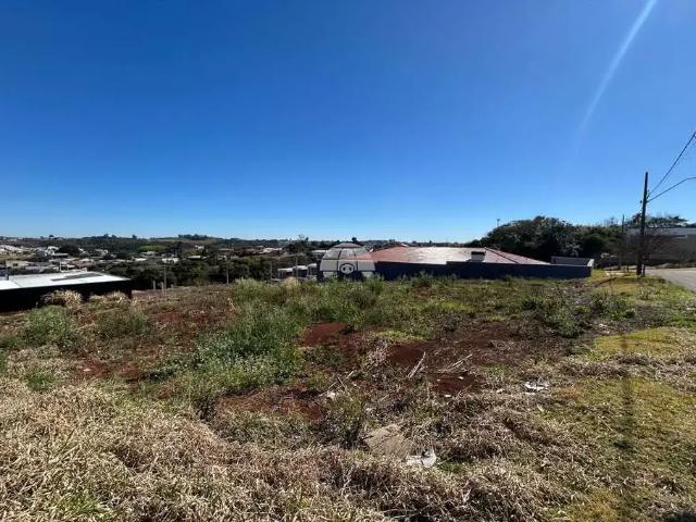 Terreno / Lote para Venda em Pato Branco/PR Pinheirinho