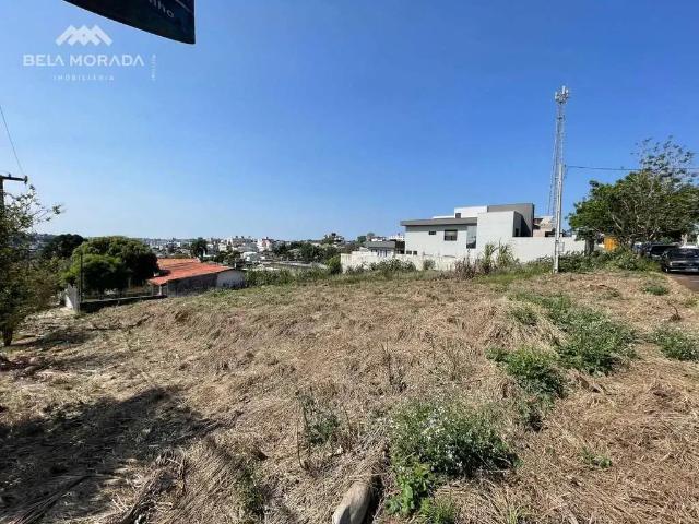 Terreno / Lote para Venda em Pato Branco/PR Pinheirinho