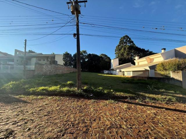 Terreno / Lote para Venda em Pato Branco/PR Pinheiros