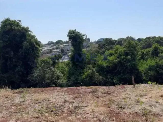 Terreno / Lote para Venda em Pato Branco/PR Planalto