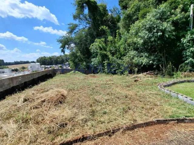 Terreno / Lote para Venda em Pato Branco/PR São Francisco