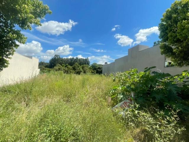 Terreno / Lote para Venda em Pato Branco/PR São Francisco