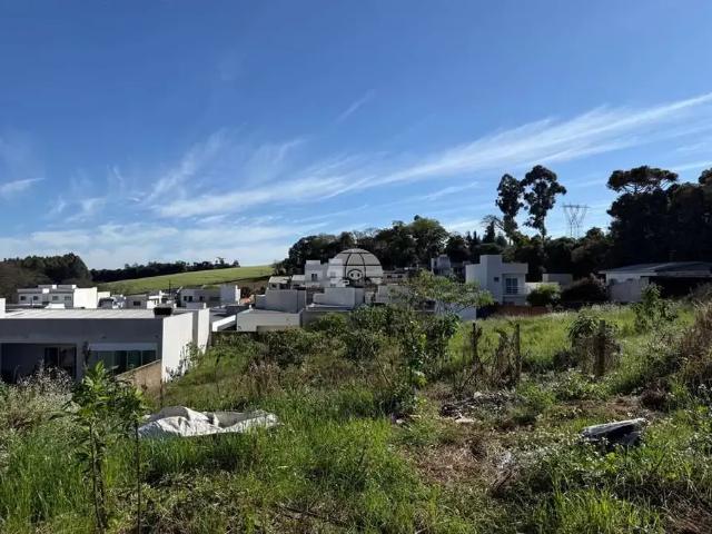 Terreno / Lote para Venda em Pato Branco/PR São Francisco