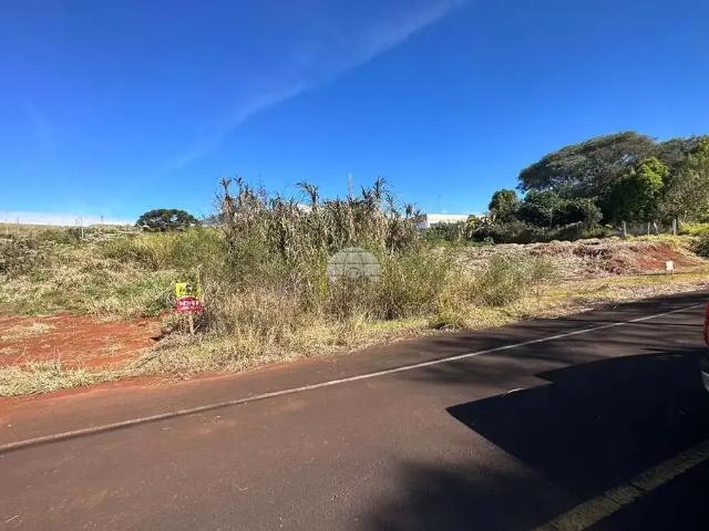Terreno / Lote para Venda em Pato Branco/PR São Francisco
