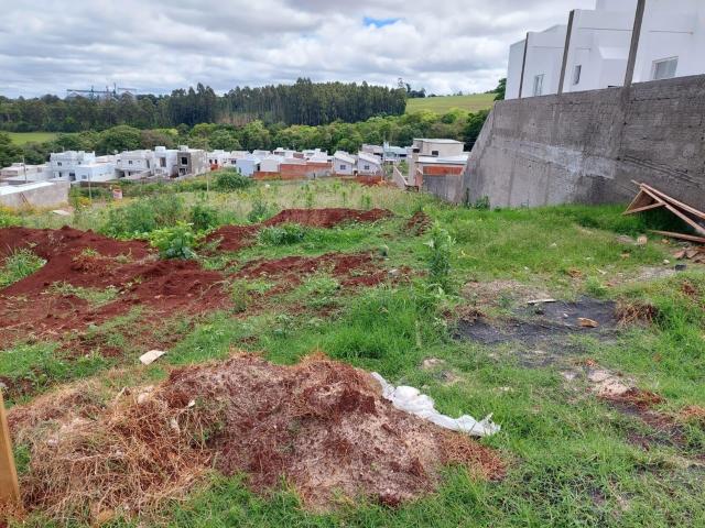 Terreno / Lote para Venda em Pato Branco/PR São Francisco