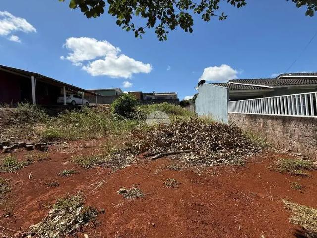 Terreno / Lote para Venda em Pato Branco/PR São Francisco