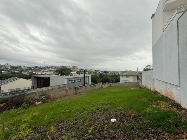 Terreno / Lote para Venda em Pato Branco/PR São Luiz