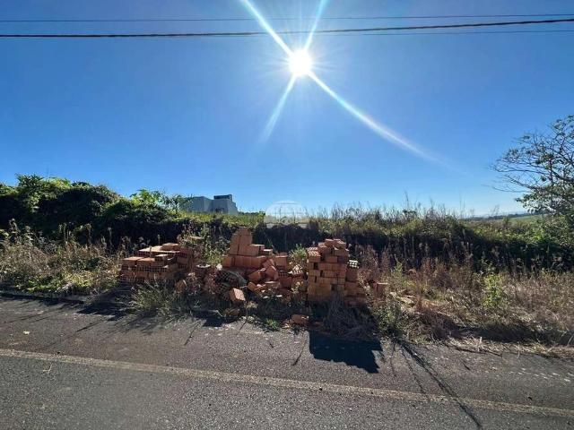 Terreno / Lote para Venda em Pato Branco/PR São Luiz