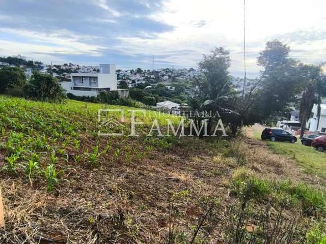 Terreno / Lote para Venda em Pato Branco/PR São Luiz