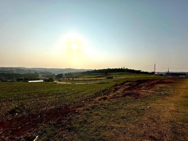 Terreno / Lote para Venda em Pato Branco/PR São Luiz