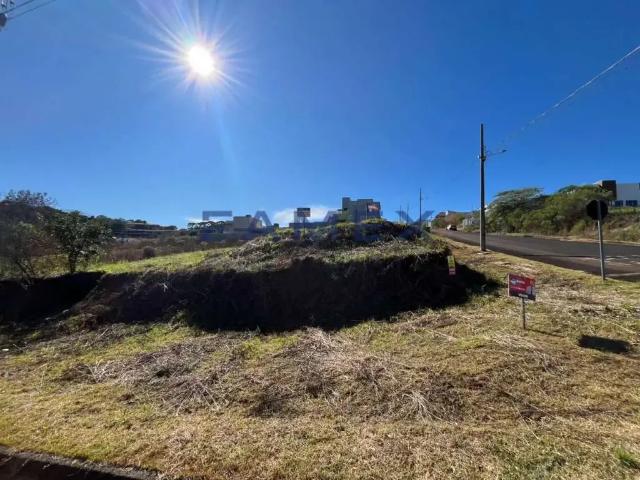 Terreno / Lote para Venda em Pato Branco/PR São Luiz