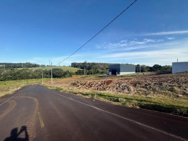 Terreno / Lote para Venda em Pato Branco/PR São Luiz