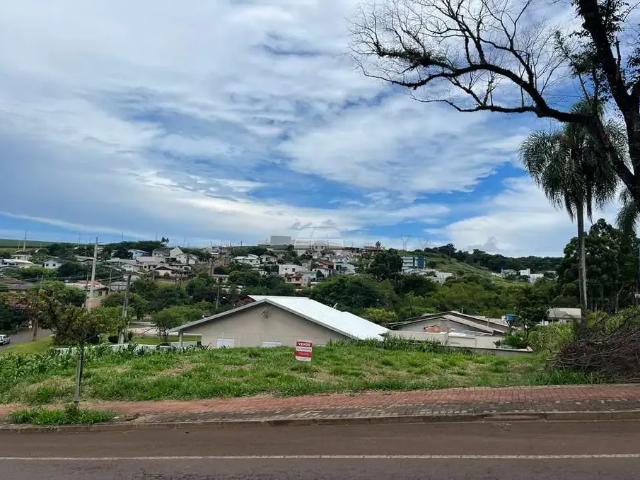 Terreno / Lote para Venda em Pato Branco/PR São Luiz